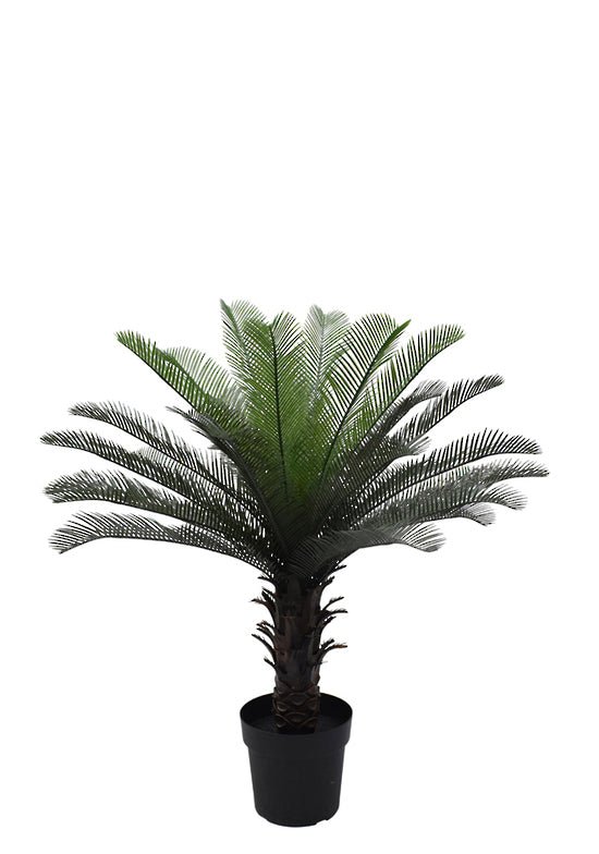 Cycas Palm Tree Potted 90cm - Oak Furniture Store & Sofas