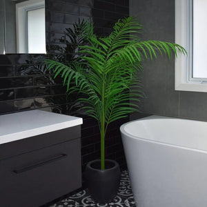 Tree - Pearl Palm Plants- 170/210cm - Oak Furniture Store & Sofas