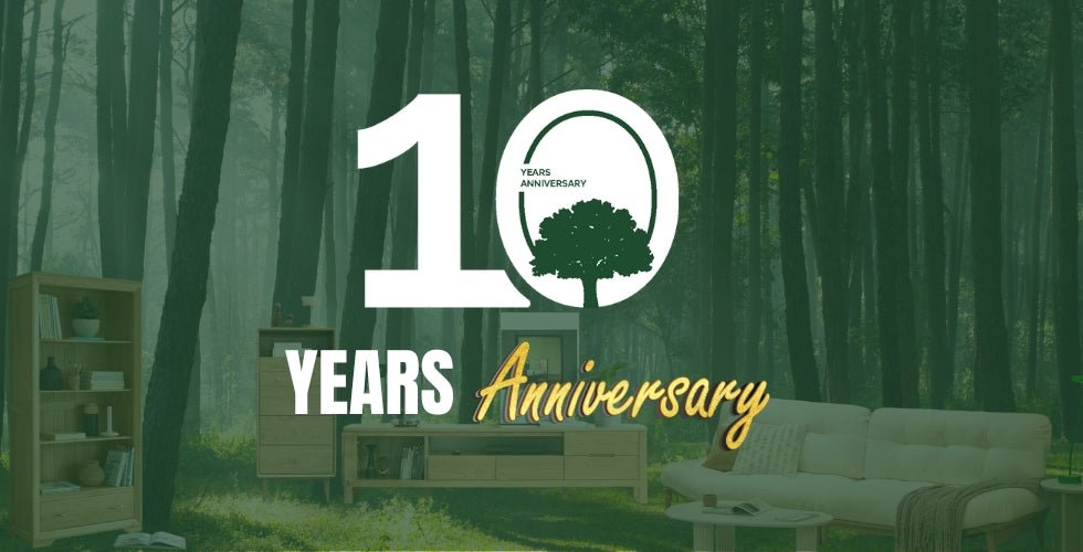 Celebrating a Decade of Excellence - Oak Furniture Store