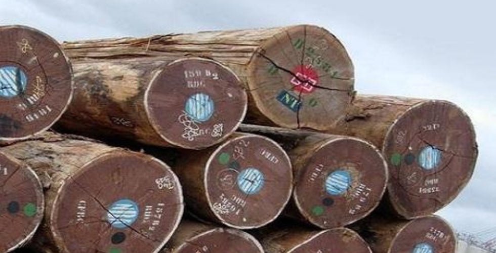 Raw Materials & Process - Oak Furniture Store