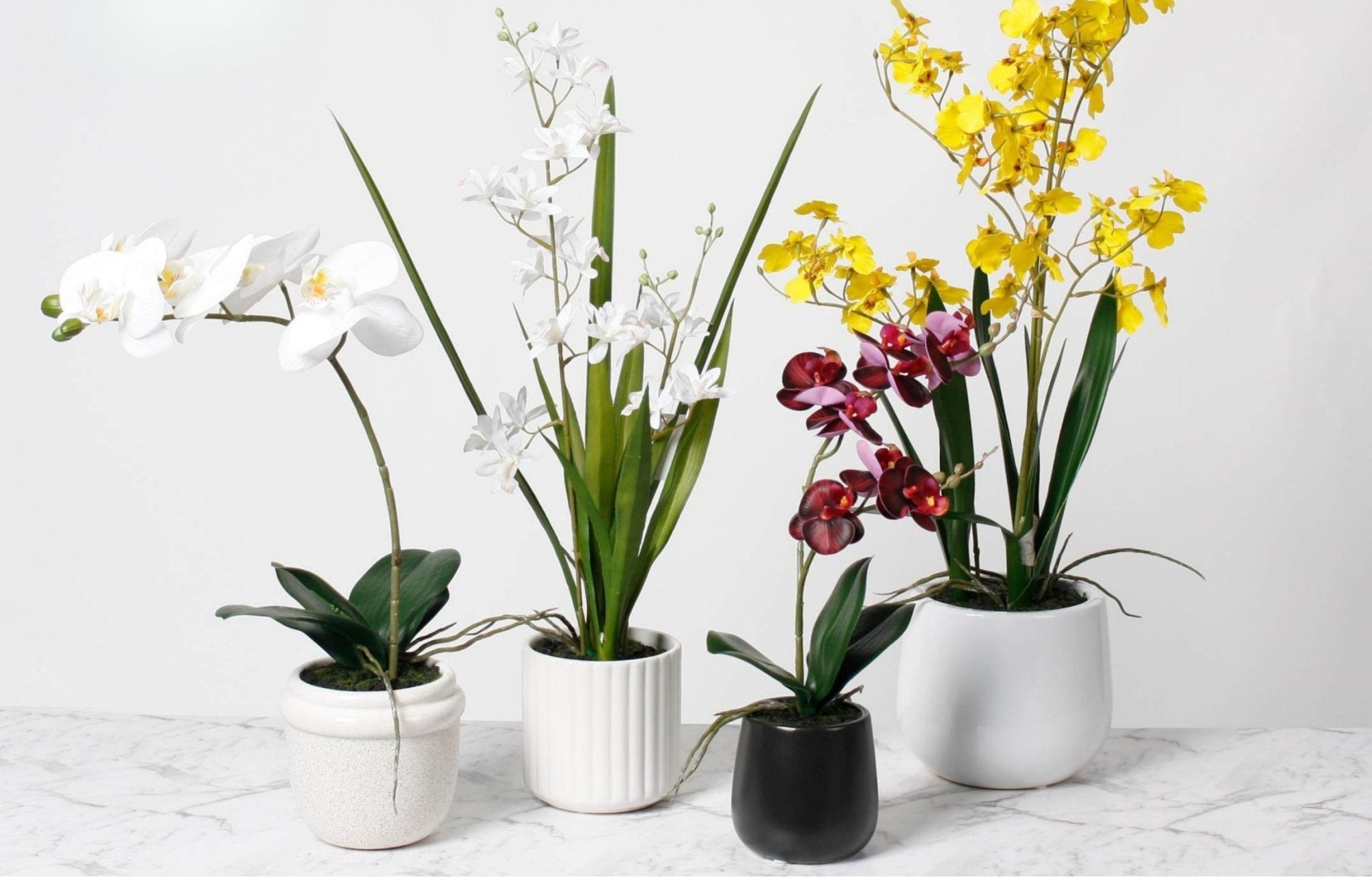 Artificial Plants - Oak Furniture Store