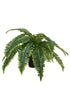 Boston Fern Potted 35cm FPL213 - Oak Furniture Store