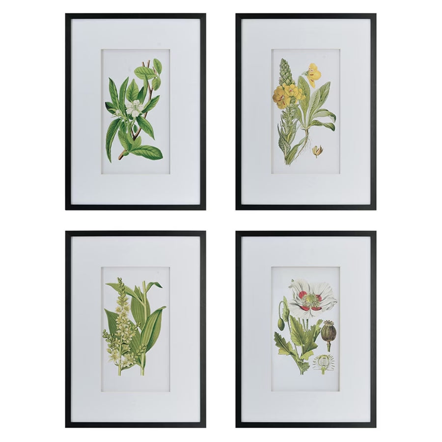 Botanical Wal Art S/4 RSE2319
