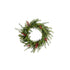 Boxwood w/Red Berries Wreath 60cm FXW180