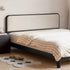 Charcoal Solid Rubber Wood Cushion Back Bed Frame