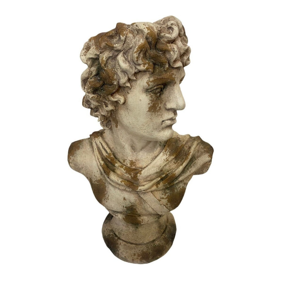 David Bust - Indoor & Outdoor - Antique Marble Magnesia Composite RQD5029