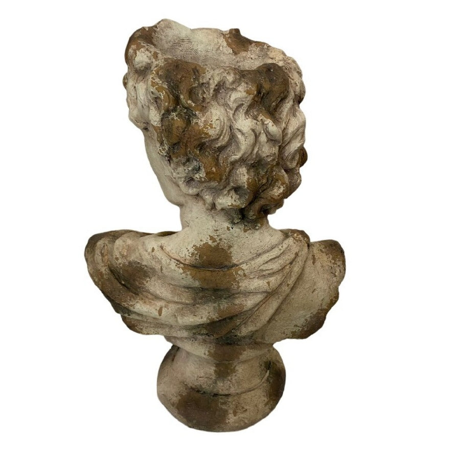 David Bust - Indoor & Outdoor - Antique Marble Magnesia Composite RQD5029