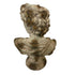 David Bust - Indoor & Outdoor - Antique Marble Magnesia Composite RQD5029