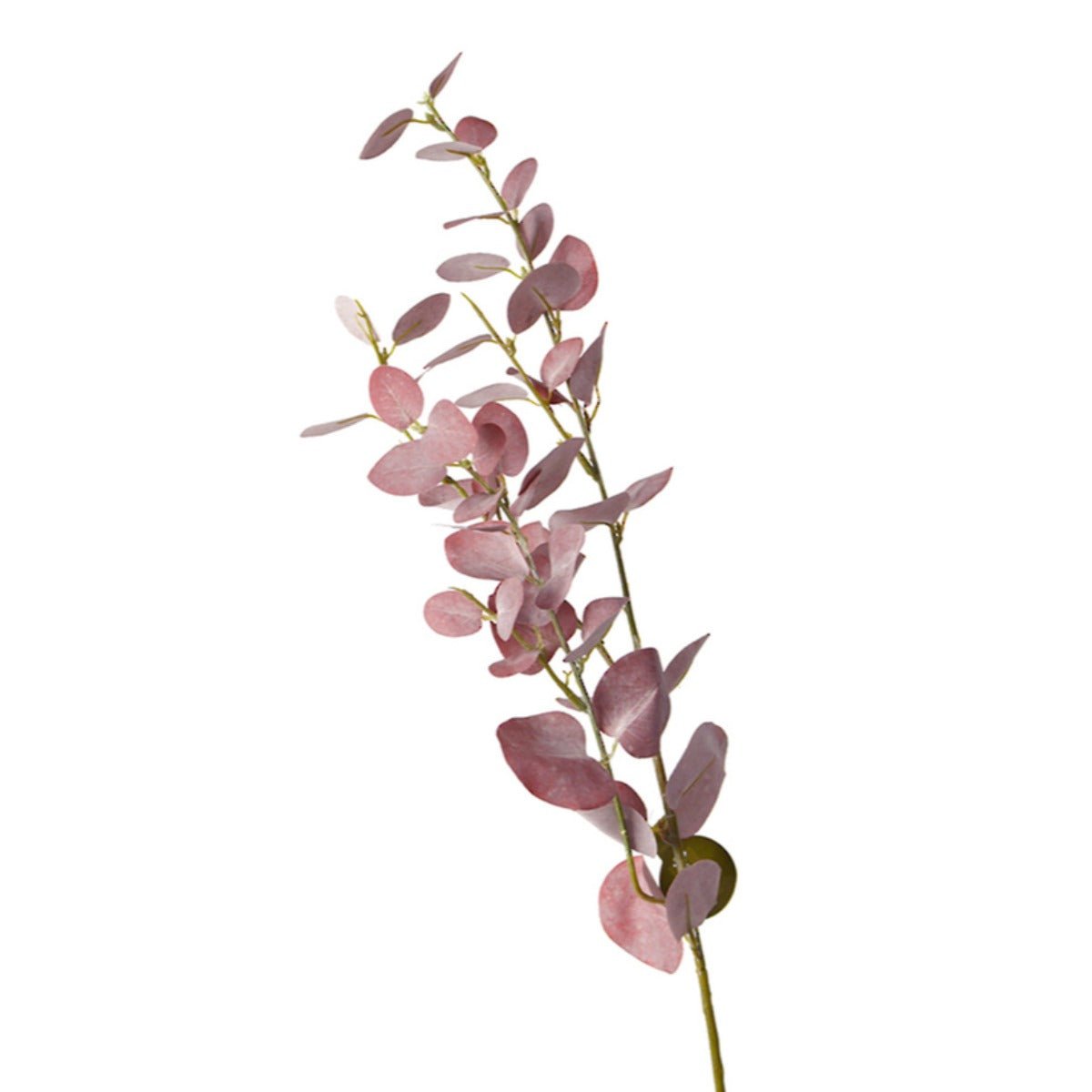 Eucalyptus Spray Burgundy FGR125BU | Oak Furniture Store