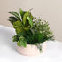 Harlow Beige Gloss Planter FFG234BGE | Oak Furniture Store