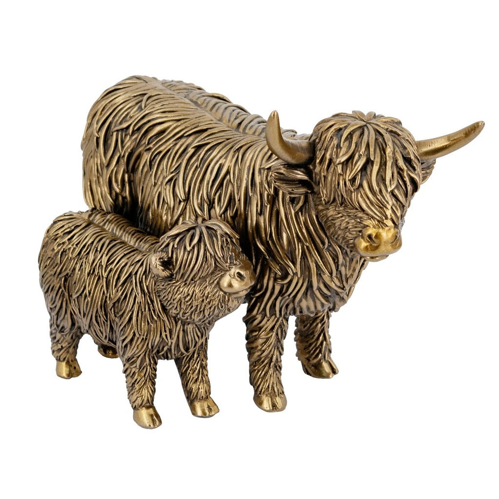 Highland Cattle & Calf