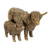 Highland Cattle & Calf