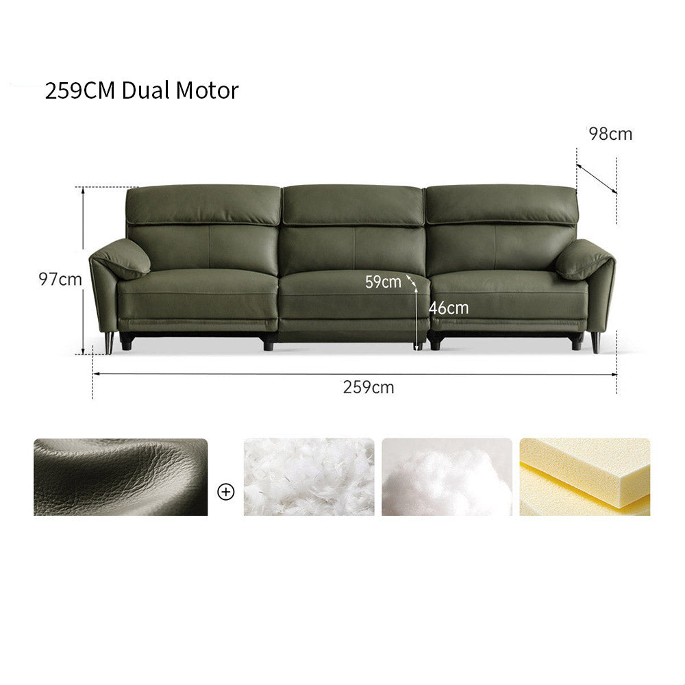 Lillviken genuine leather electric recliner sofa in modern kiwi living room