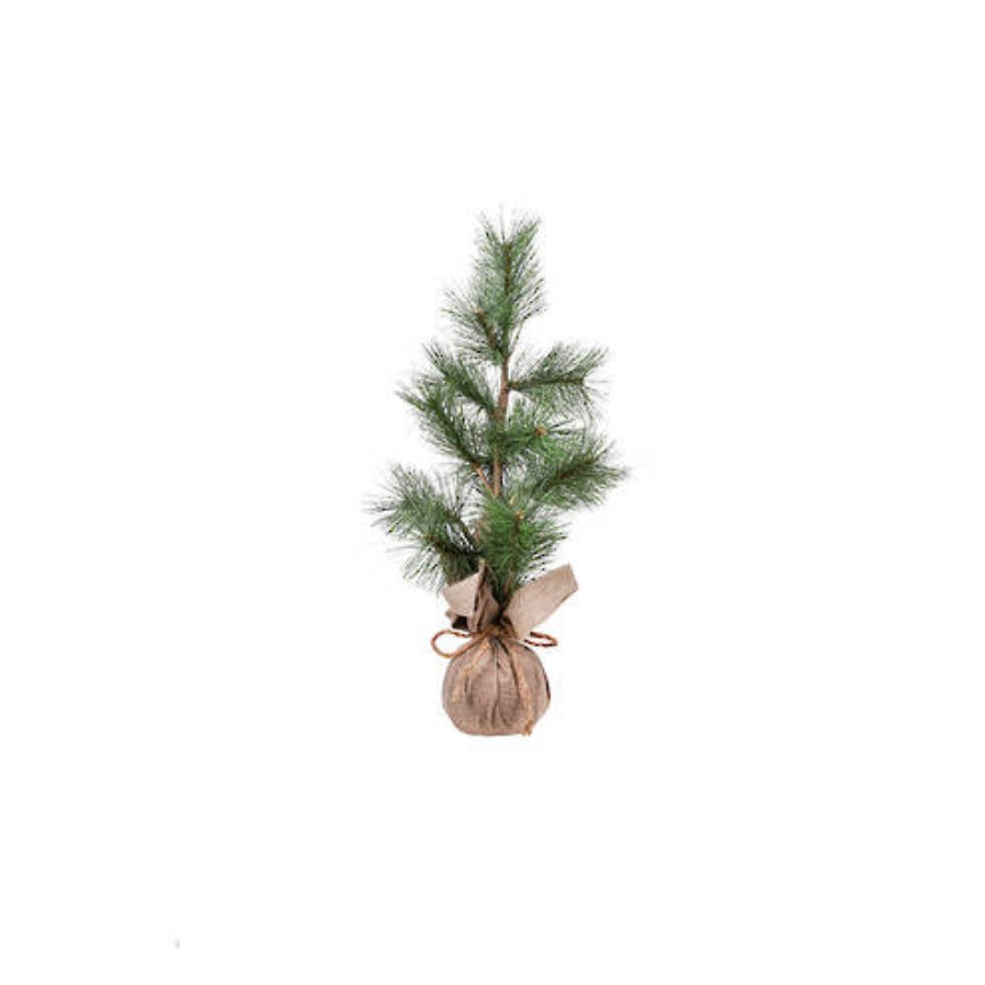 Long Needle Pine TblTop Tree in Burlap 53cm FXT171S