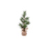 Long Needle Pine TblTop Tree in Burlap 53cm FXT171S