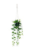 Potted Hanging Jade Satin Scindapsus FGR498 - Oak Furniture Store