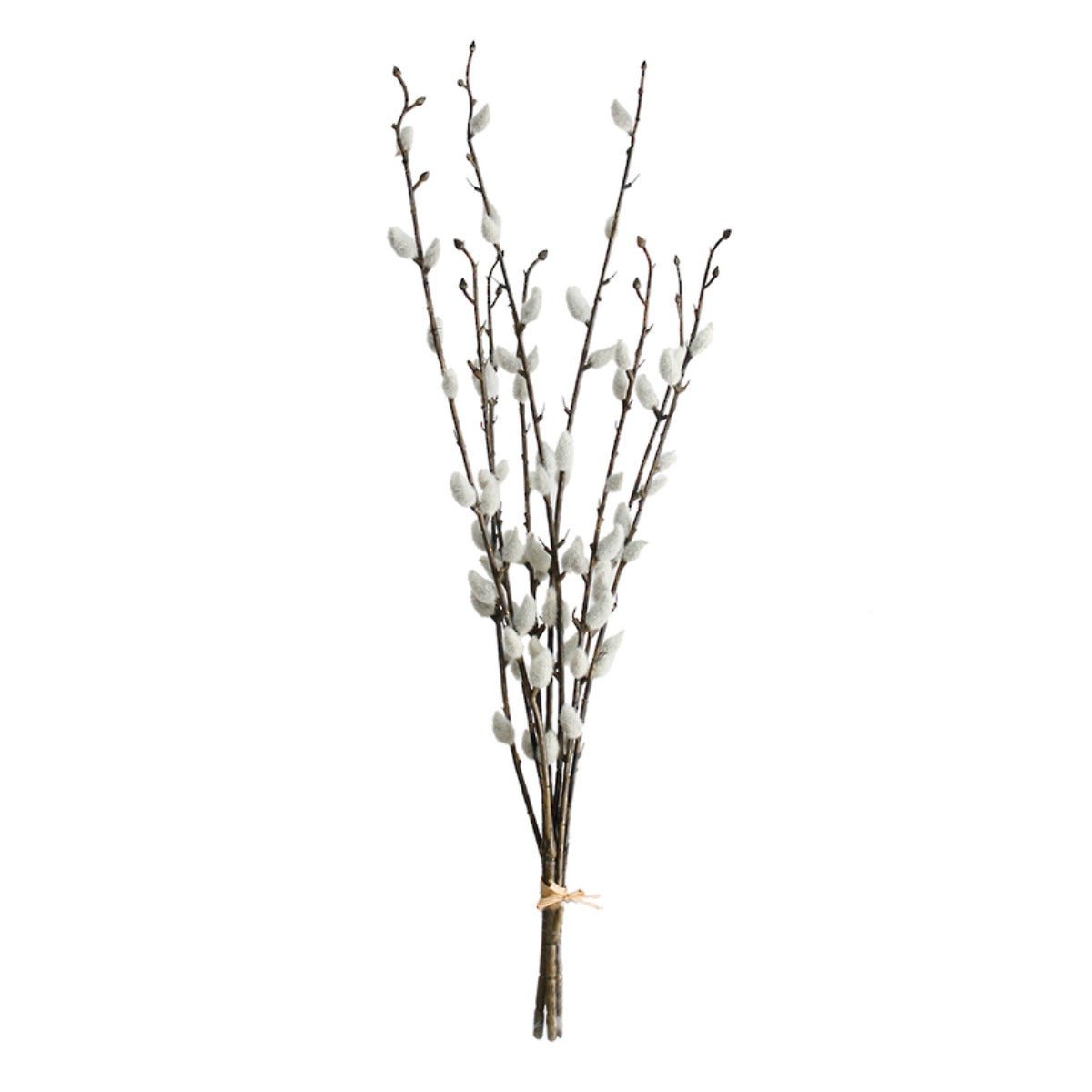 Pussy Willow Bundle x3 55cm FSP704 | Oak Furniture Store