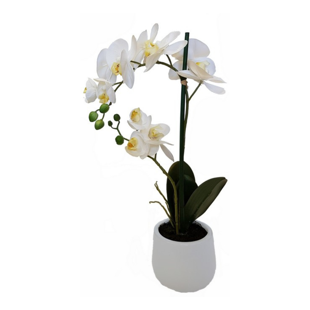 Real touch white orchid 2 spray arrangement in white pot for table, shelf, and console décor