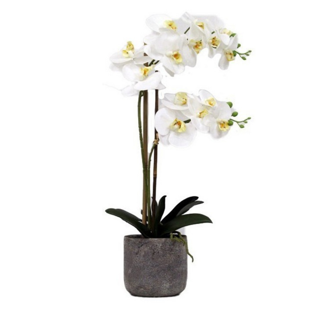 Real touch white orchid 2 spray arrangement with stone pot for elegant home décor styling