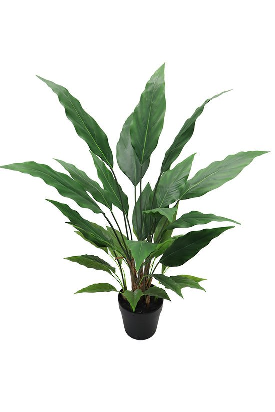 Spathiphyllum Vivaldi Potted 91cm FPL314 - Oak Furniture Store