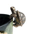 Tortoise Hanging Rim Ii Gold X2 KHW24011