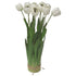 White tulip arrangement with 12 heads and natural green stems for decorative floral styling