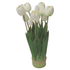 White tulip arrangement with 9 heads and green leaves for fresh floral home décor