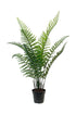 Woodwardia Bush Potted 84cm FPL734 - Oak Furniture Store