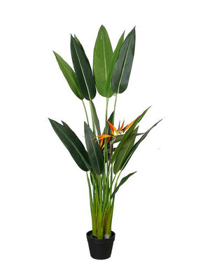 Bird of Paradise Potted 1.4m - Oak Furniture Store & Sofas