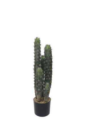 Cactus Potted 72cm - Oak Furniture Store & Sofas