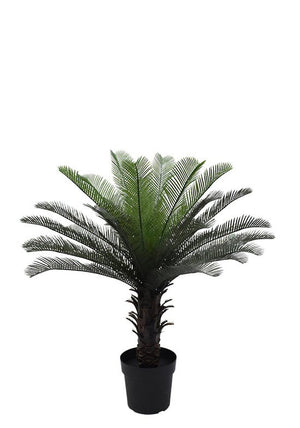 Cycas Palm Tree Potted 90cm - Oak Furniture Store & Sofas