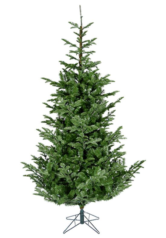 Norway Spruce Tree 2.3m w/870 Tips