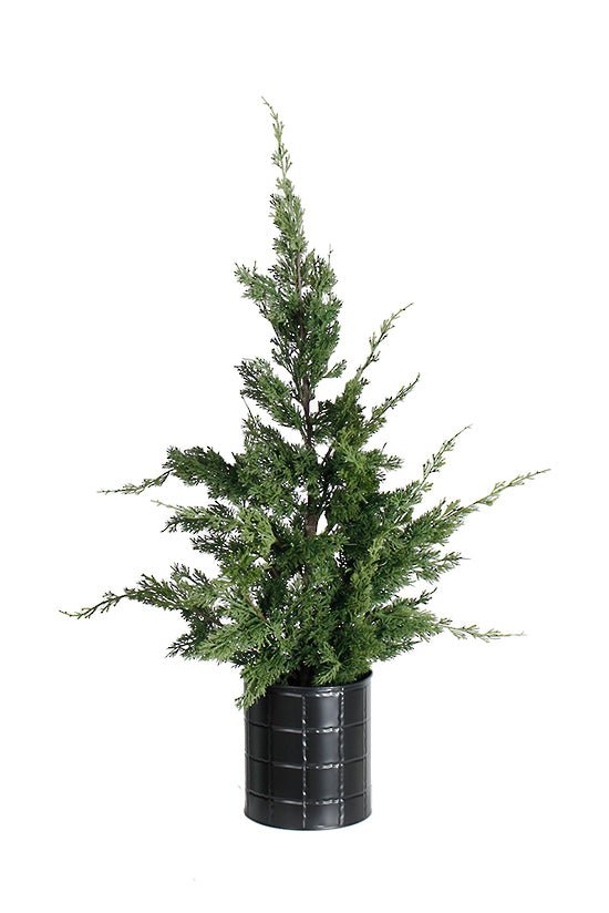 Small Cedar Tree w/ Black Metal Pot